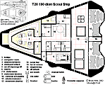 T20 scoutship from THB